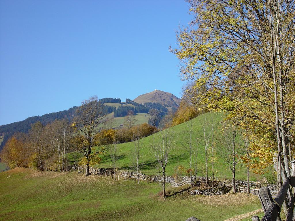 Ferienwohnung Am Lindenweg Brixen im Thale Extérieur photo